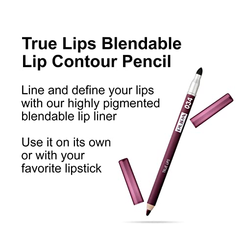 Pupa Milano True Lips Blendable Lip Liner - Dual-Ended Matte Lining Color And Brush - Light And Creamy, Hydrating, High Pigment, Smudge Proof Formula - Paraben Free - 034 Plum - 0.042 Oz #TOP1