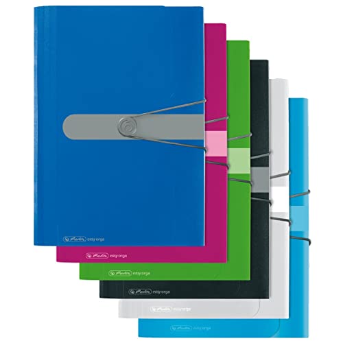 Herlitz 11208394 Fächermappe A4 PP 12 Fächer schwarz (Single)