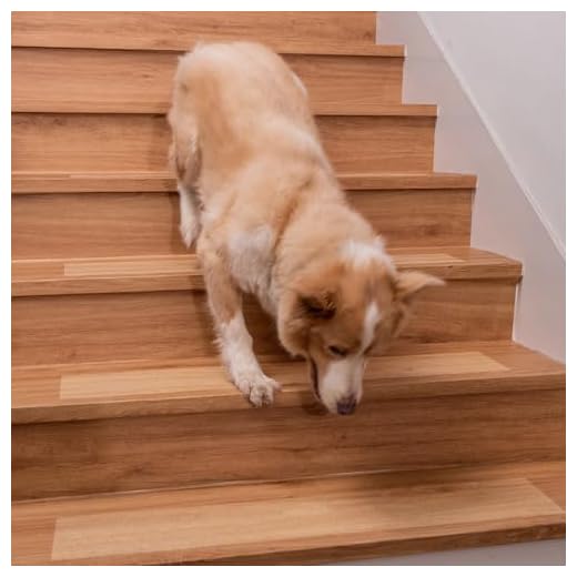 Spurtar Treppenstufen Matten Antirutsch Treppe, Transparent Treppenteppich Selbstklebend Stufenmatten innen 15 Stück für Holzstufen Boden Antirutschmatte Klebeband Pads, 10 x 60 cm