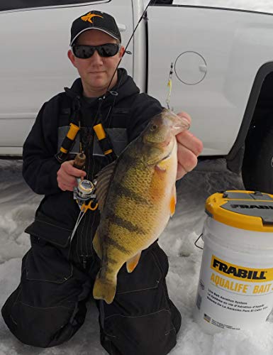 Image of Frabill Buckets & Accessories