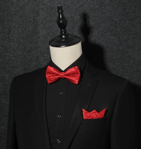 Image of HISDERN Bow Ties for Men Pretied Bow Tie Set Paisley Classic Bowties and Pocket Square Cufflinks Set for Wedding Party