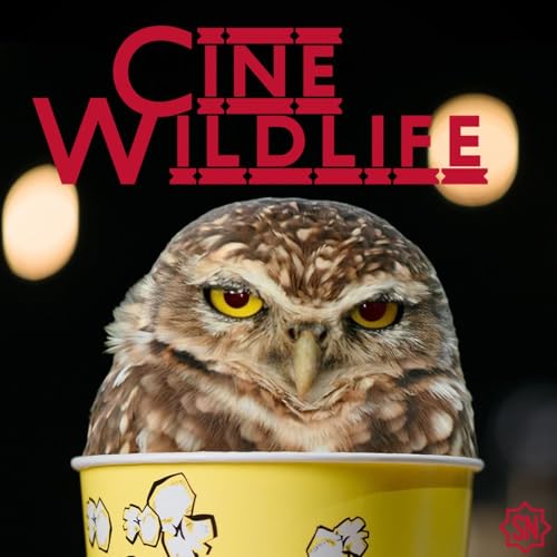 Cine Wildlife - Stranger Things: Il Sottosopra che ha cambiato la TV