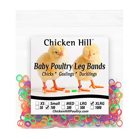 Baby Poultry Chick Leg Bands Size 6 XLarge (100) Cover