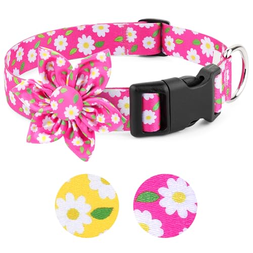 BiPawTi Collier rose à motif floral pour chiens de grande taille et fille, collier souple avec décoration de fleurs, collier mignon pour chien de très...