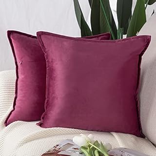 Madizz Pack of 2 Super Soft Velvet Decorative Cushion Covers with Fringe Luxury Style Cushion Case European Pillow Shell for Sofa Bedroom Square Burgundy 26x26 inch