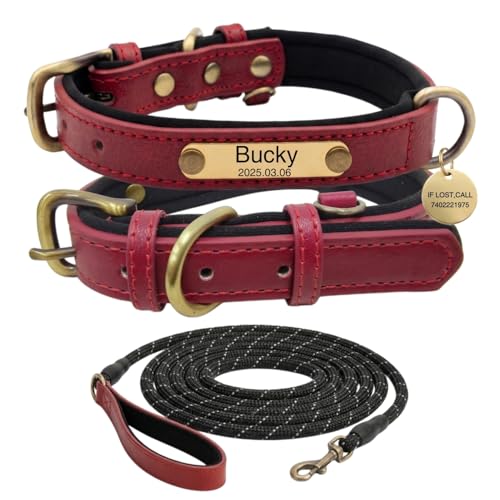 Collare per Cani in Vera Pelle Personalizzato con Incisione Nomi Collare con Design Morbido Imbottito Regolabile e Durevole per Cani di Piccola, Media e Grande Taglia Set di Guinzaglio Personalizzato