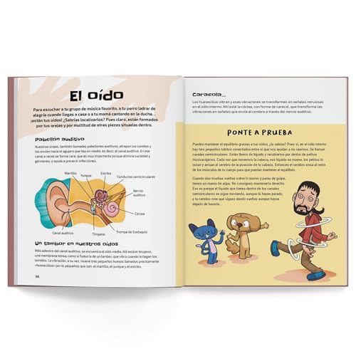 El cuerpo humano: Todo lo que siempre quisiste saber sobre el cuerpo humano y sólo Big Van Ciencia te puede explicar. (Ciencia perruna & curiosidad gatuna, Band 1)