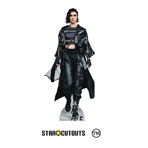 Star Cutouts Ltd-Star Cutouts SC1512 Huntress Birds of Prey Lifesze-Recorte de cartón, diseño de pájaros de presa, altura de 174 cm, ancho de 78 cm
