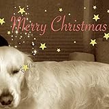 Better Luck Next Year