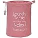 Sea Team 19.7" Large Sized Waterproof Coating Ramie Cotton Fabric Folding Laundry Hamper Bucket Cylindric Burlap Canvas Storage Basket with Vibrant Solid Color (Pink)