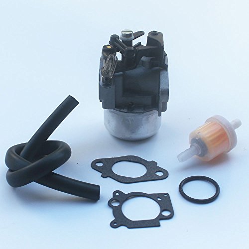 Kipa Carburetor Fuel Line Fuel Filter Gasket Kit For Briggs & Stratton 796608 111000 11P000 121000 12Q000 Engines 2700Psi 3000Psi Troy-Bilt Pressure Washer 7.75Hp 8.75Hp 594287 799248 #TOP7