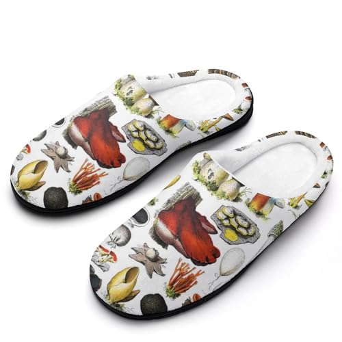 [STEBVI] Xbp  Be[W  ̂̎ [V[Y  nEXXbp  Y fB[X  ~ g 􂦂 qp p jp v[g