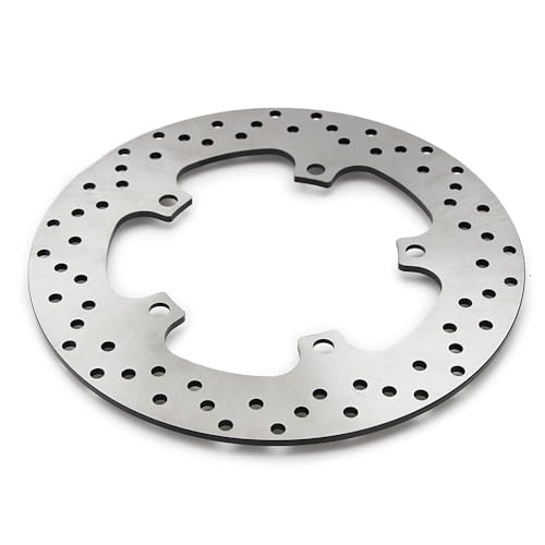Disque de frein X-MAX 300 en acier inoxydable de haute précision