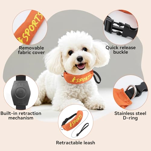 Enjoying Einziehbares Hundehalsband, All-in-One-Hundehalsband, integrierte einziehbare Leine, verstellbares Halsband für kleine und mittelgroße Hunde, Orange