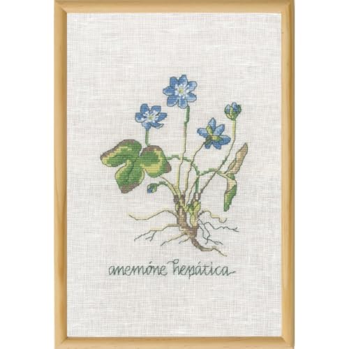 Kit per ricamo a punto croce motivo: anemone blu