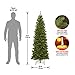 National Tree Company 6 ft Unlit North Valley Spruce Slim Artificial Christmas Tree, 636 Tips, Includes Stand, Green