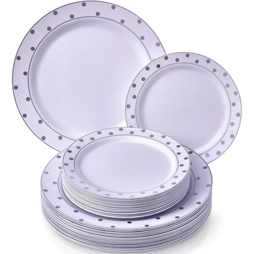 White with Silver Dots Plastic Disposable Plate Combo Set - 10.25 White with Silver Dots Plastic Disposable Plate Combo Set - 10.25