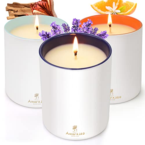 3 Pack Candles For Home Scented, 33.9 Oz 210 Hour Long Lasting Scented Candles, Lavender &Mahogany Mandrel & Orange Blossom Aromatherapy Candle Set,Ideal For Birthday, Mother's Day, Thanksgiving #TOP2