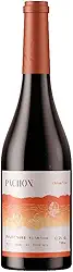 Vinho Cileno Pachon Pinot Noir 750ml