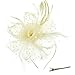 DRESHOW Feather Mesh Fascinators Hat Flower Ribbons With Headband Forked Clip Cocktail Tea Party Headwear For Girls and Women