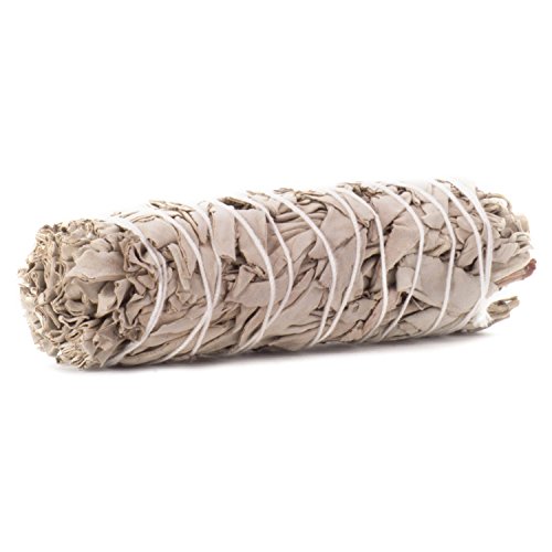 Shamans Market White Sage Smudge Stick - 5 In #TOP1