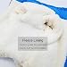 JULY'S SONG Hundejacke Fleece gefüttert Hundemantel Ärmellose Baumwolle Mit Brustgurt Gurt Reflektierende Streifen Design Warme Hunde Bekleidung für Winter Herbst