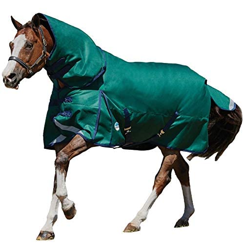 Couverture de pré pour cheval contre le froid et la pluie avec couvre-cou