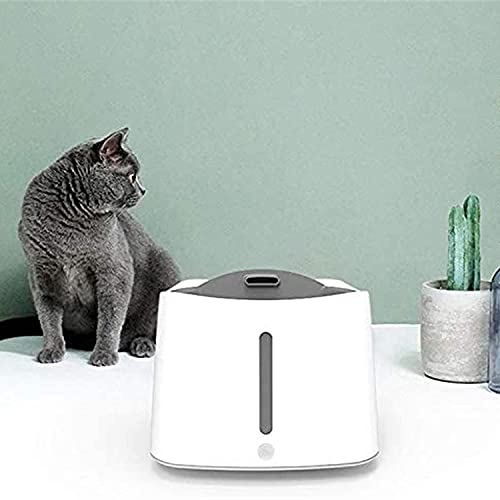 Dispensador de agua eléctrico para gatos y perros miniatura 5