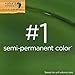 Clairol Natural Instincts Semi-Permanent Hair Dye, 6.5G Lightest Golden Brown Hair Color, 3 Count