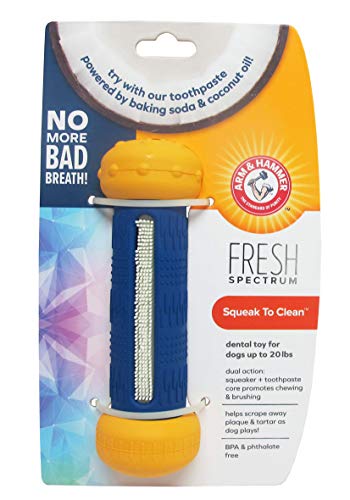 Arm & Hammer for Pets Fresh Spectrum Squeak to Clean Dental Toy for Dogs, Small | Scrape Away Tartar As Dog Plays, No More Bad Breath with Arm & Hammer Baking Soda