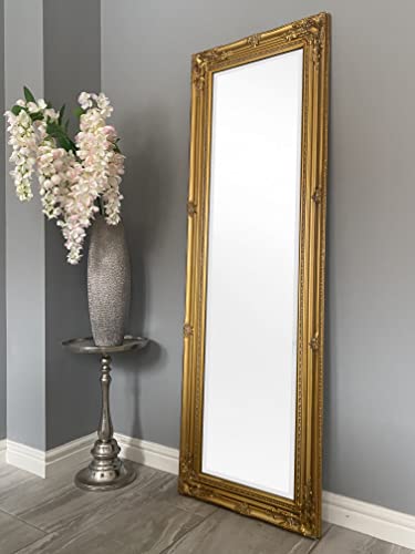 Floor Mount Shabby Chic Mirrors Full Length Dressing/Hall Mirror, Metallic Gold, 124 x 40 cm
