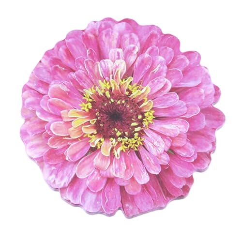 25V[g̉Ԃ̌`XeBbNm[g_m[gCeBOpbhڒLy[WItBXXN[ĩ