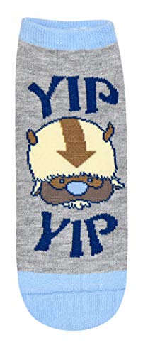 Hyp Avatar: The Last Airbender Aang Appa Yip Yip Juniors/Womens 5 Pack Ankle Socks #TOP1