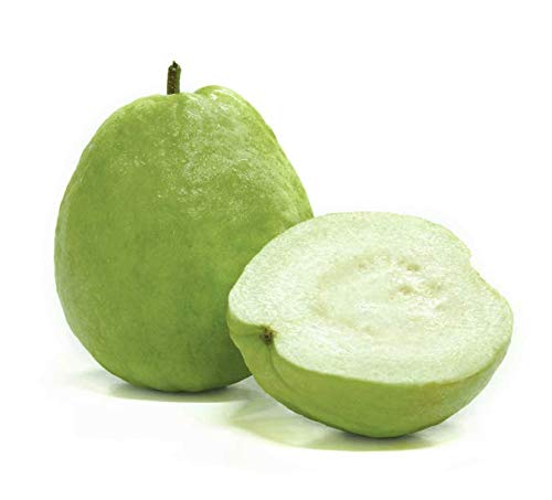 M-Tech Gardens Guava Live Plant (Seedless Guava) (B07S2YKZJD) Amazon Price History, Amazon Price Tracker