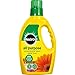 Price comparison product image 3 X Miracle-Gro All Purpose Concentrated Liquid Plant Food Bottle, 1 L