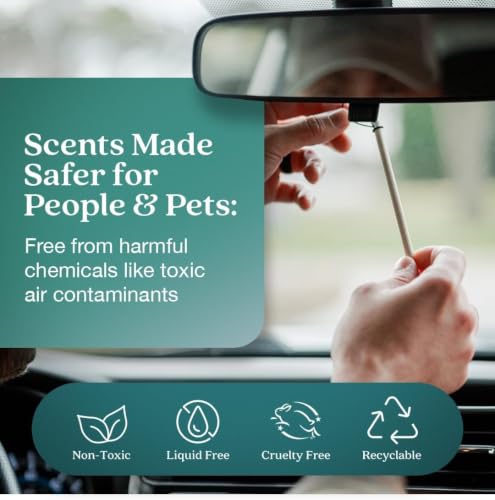 Image of Enviroscent Auto Stix 6ct - Seaside Coconut & Verbena 2pc