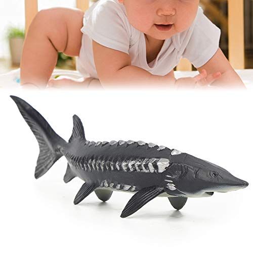 Stör Fisch Modell Ozean Tier Figur Spielzeug, Home Decor, Markt Display Kunststoff für Home Decor (M-1528 Chinesischer Stör)