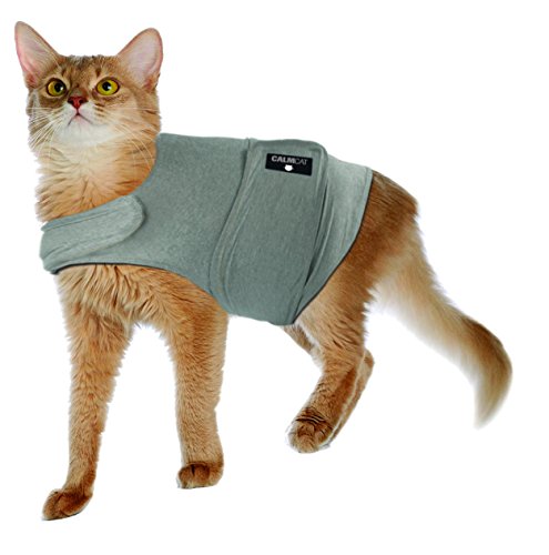 American Kennel Club Calm Cat Anti Anxiety and Stress Relief Coat for Cats - Medium