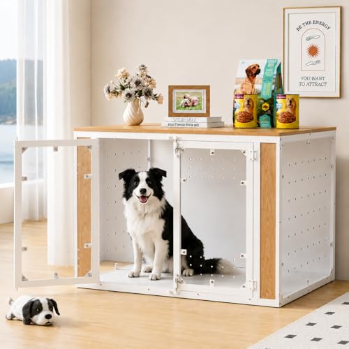 Stylish Transparent Dog Crate for Medium Dogs