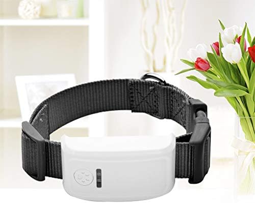 1 Parca Kopek Tasmasi Gps Izleyici Kopek Kaybolmayi Onleyen Bulucu Bulucu Uzaktan Takip Cihazi Evcil Kopek Icin Amazon Com Tr Evcil Hayvan Urunleri