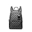 Silver-tone Hardware/Tonal Mk Signature Nylon/Black