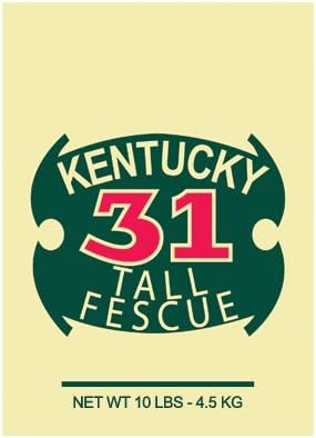 Fescue Grass Seed, 10-Lbs., Covers 1,250 Sq. Ft.