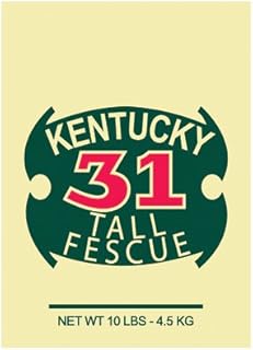 Fescue Fescue Grass Seed