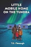 mobil home d'occasion bretagne  LITTLE MOBILE HOME ON THE TUNDRA: Interrupting Generational Dysfunction