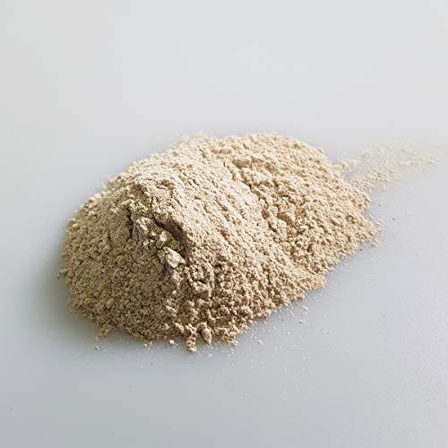 2 Pounds - Clinoptilolite Zeolite Powder