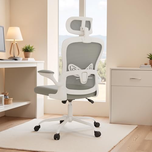 Homall Ergonomic High Back Mesh Chair