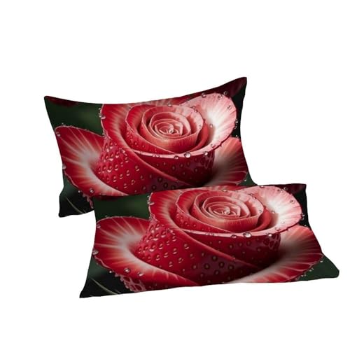 Housse de couette Super King 260x220cm en microfibre imprimée