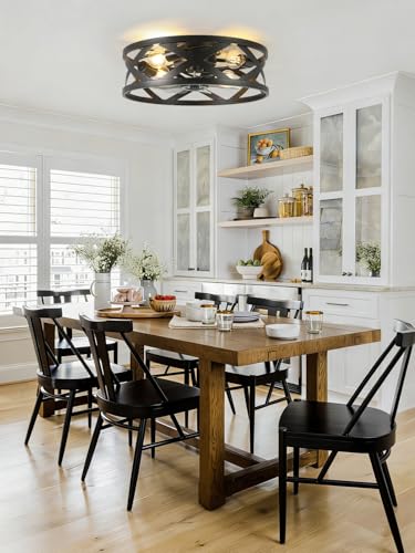Image of 20 Inch Caged Ceiling Fan Light with Remote, Black Flush Mount Bladeless