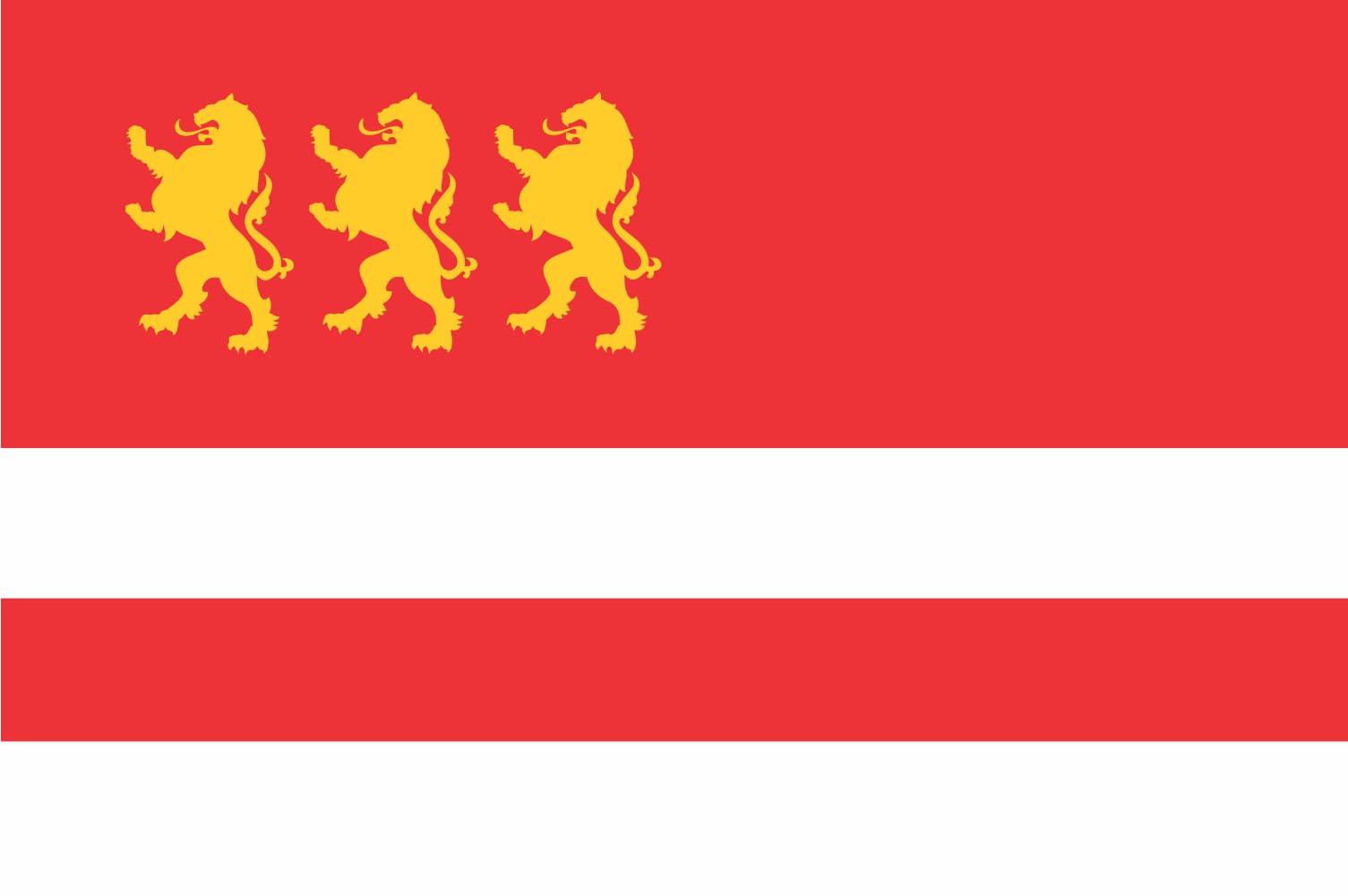 Drapeau de Marneuli grand format pour mât extérieur et intérieur