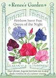 Sweet Pea - Queen of The Night Seeds